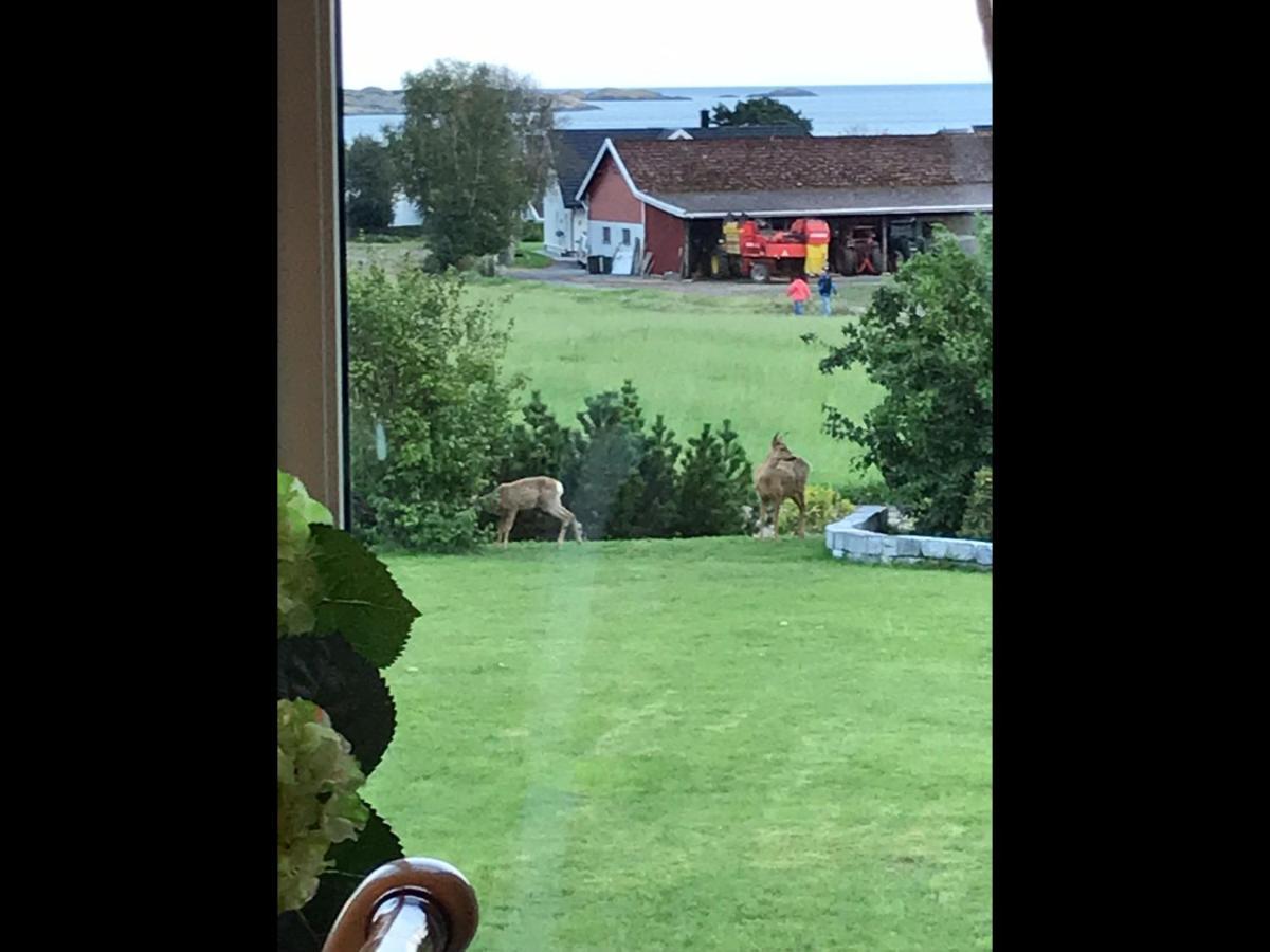 Ny Leilighet I Nevlunghavn Larvik Eksteriør billede