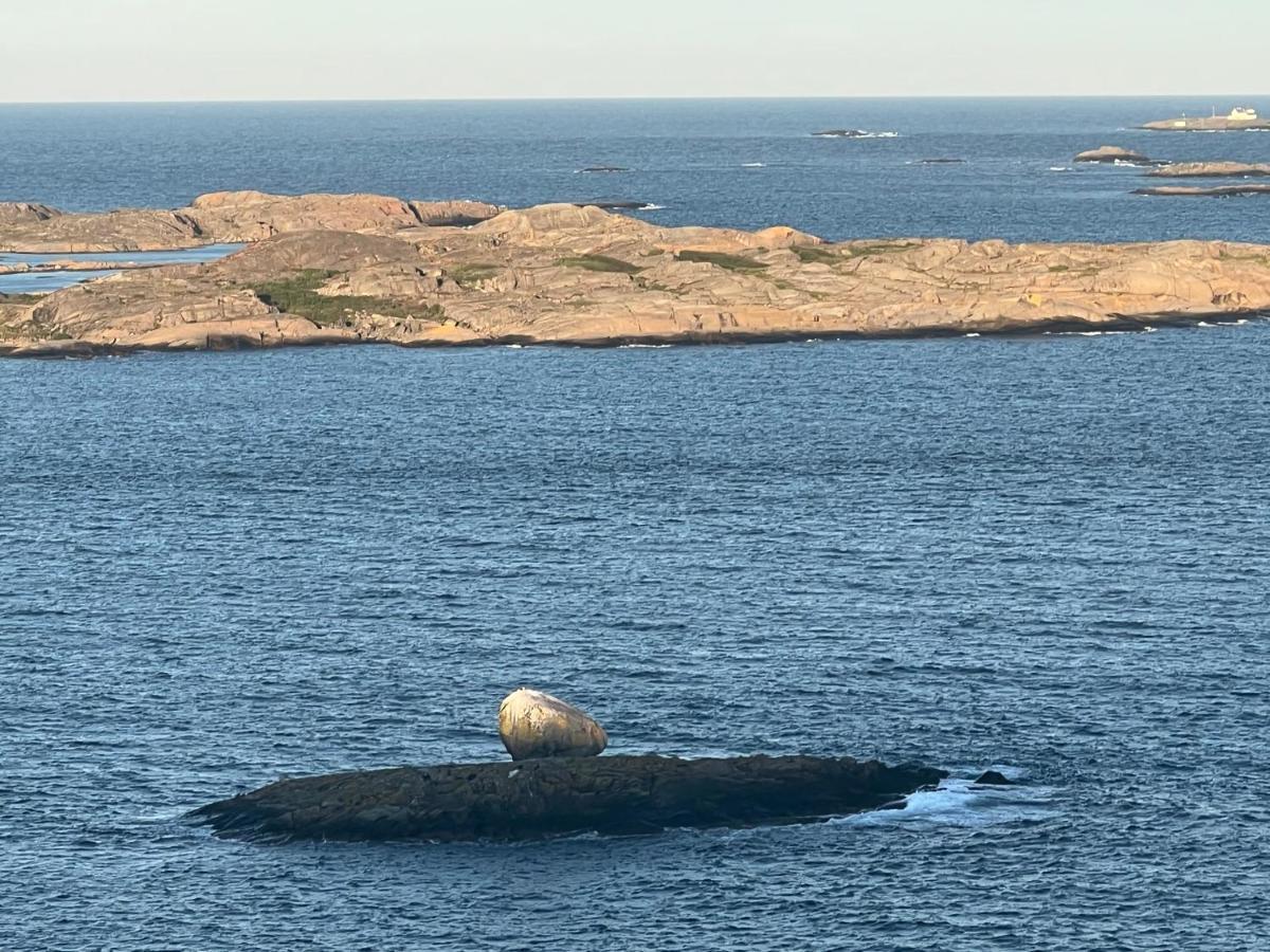 Ny Leilighet I Nevlunghavn Larvik Eksteriør billede